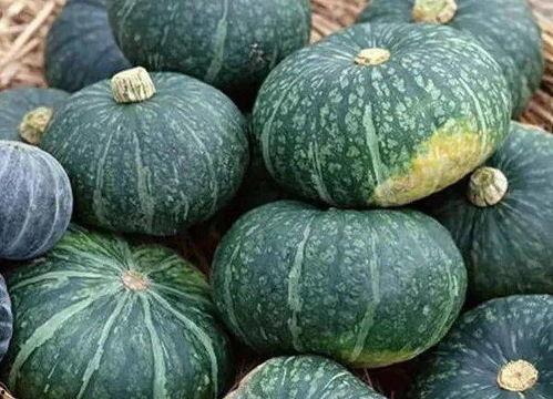 吃瓜之油豆豆,吃瓜群众的趣味生活解码