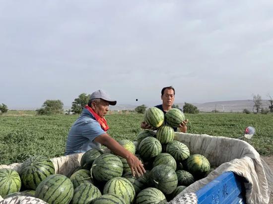 吃瓜临沂河东,吃瓜群众的美食之旅