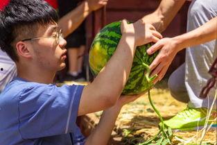 吃瓜陪玩,揭秘网络娱乐新潮流