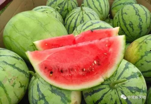 新天润吃瓜视频,揭秘娱乐圈幕后真相