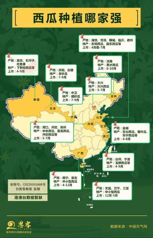 山西吃瓜大省,吃瓜群众的美食盛宴