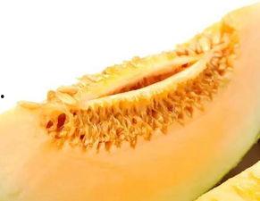 蜜瓜不能配着什么吃,揭秘哪些食物不宜与蜜瓜同食