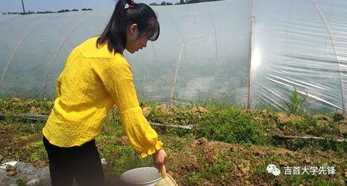 不问别急吃瓜版,揭秘娱乐圈幕后故事