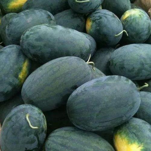 吃瓜怎么玩,轻松玩转瓜界，解锁快乐新姿势