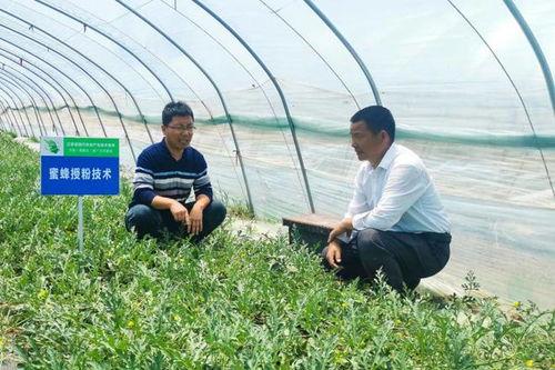 沭阳教育吃瓜事件,一场校园“吃瓜”事件的背后真相