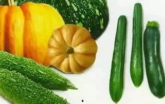 武体夏天吃瓜,揭秘校园里的清凉美食故事