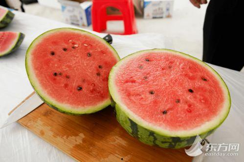 上海店吃瓜,一场舌尖上的夏日盛宴