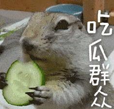 沙雕蜜蜂带你吃瓜,沙雕蜜蜂带你领略吃瓜界的欢乐盛宴