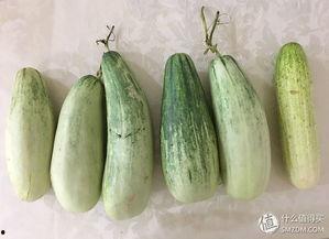 吃瓜的经验,那些你不知道的幕后吃瓜故事