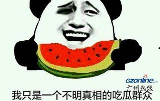 吃瓜群众疯狂吐槽我,疯狂吐槽背后的真相揭秘