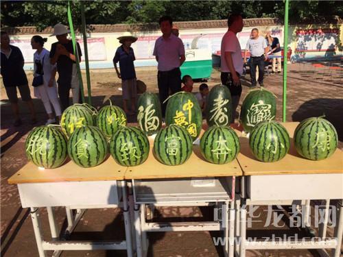 太康县吃瓜,探寻当地特色美食之旅
