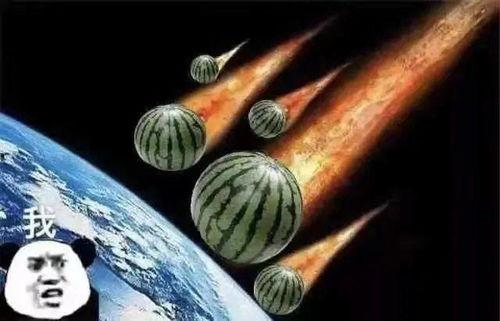 吃cp瓜的文案,揭秘娱乐圈CP瓜背后的甜蜜故事