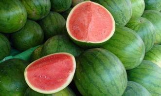 大瓜吃瓜的视频大全下载