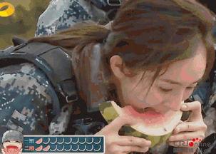 男子吃瓜群众被打死