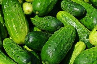 梦见吃生瓜儿,揭秘吃生瓜儿的神秘寓意