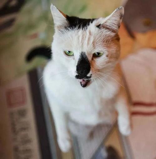 吃瓜不能笑得太大声