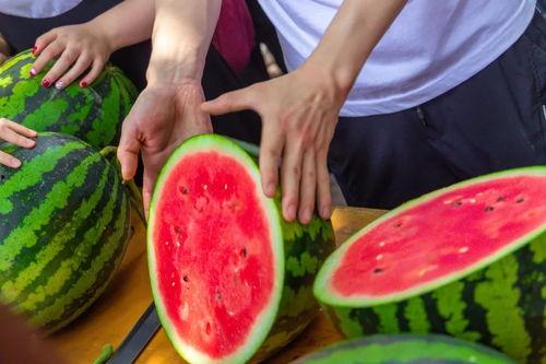 天津学校座椅吃瓜