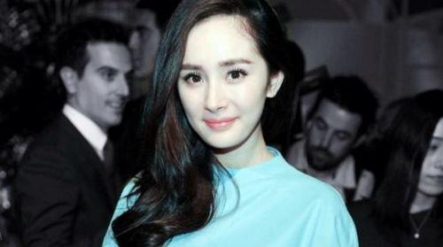 421页吃瓜杨幂,娱乐圈背后的真相与争议