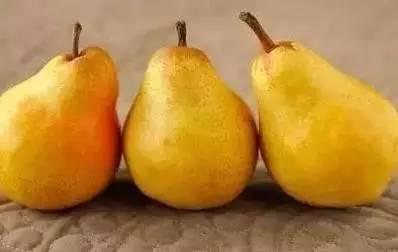 姜年年吃瓜,揭秘娱乐圈那些不为人知的幕后故事