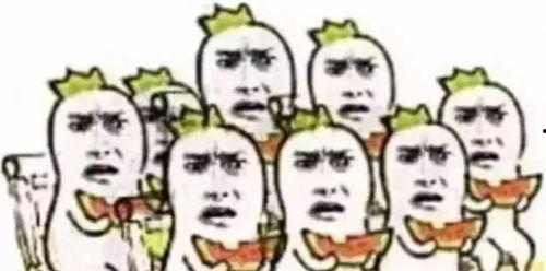 派大星吃瓜群众,瓜田里的欢乐食客