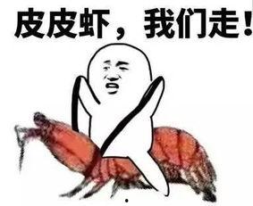 免费吃瓜套路视频,视频背后的真实故事