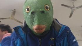 带你吃瓜物种组合