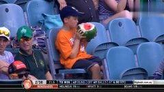 吃瓜解说奇葩的,揭秘娱乐圈奇葩事件背后的真相