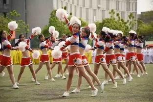 吃瓜小安教练,揭秘娱乐圈幕后故事