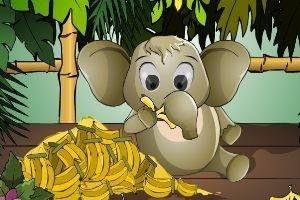 小象吃瓜图片大全,萌态十足萌化人心